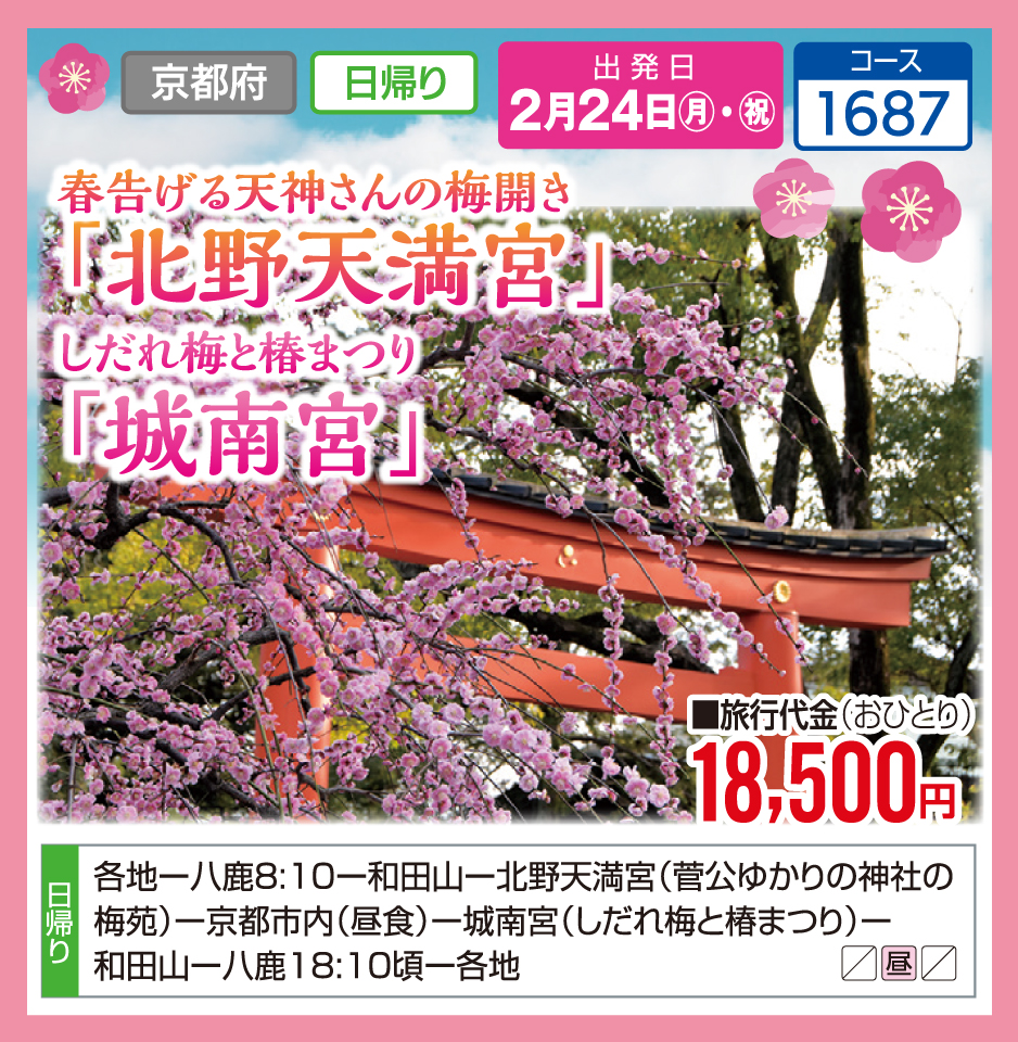 春告げる天神さんの梅開き「北野天満宮」しだれ梅と椿まつり「城南宮」